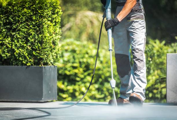 Best Graffiti Removal  in Higginsville, MO