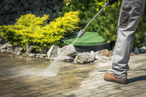 Best Gutter Cleaning  in Higginsville, MO