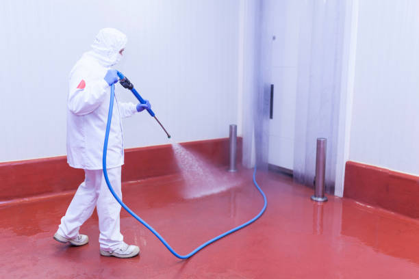 Best Spring Cleaning  in Higginsville, MO