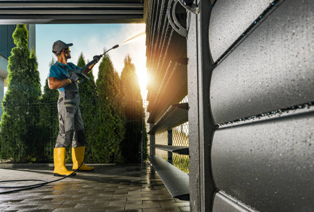 Best Soft Washing  in Higginsville, MO